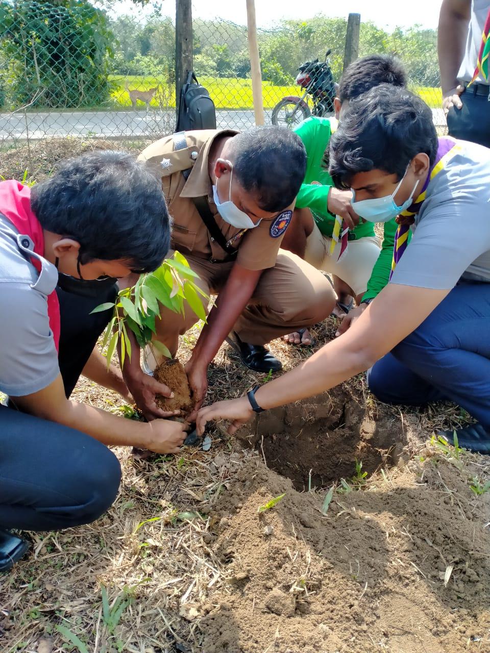 Tree planting program World Scouting